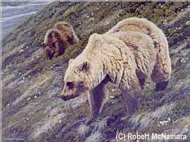 A Slant Towards Summer - Grizzly (Sold)